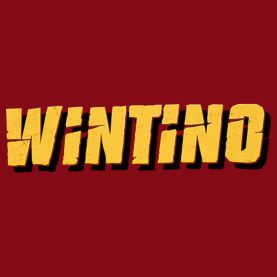 Wintino Casino VIP programme overview