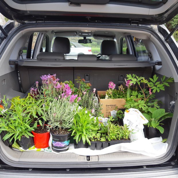 IMG_20190915_140259_060