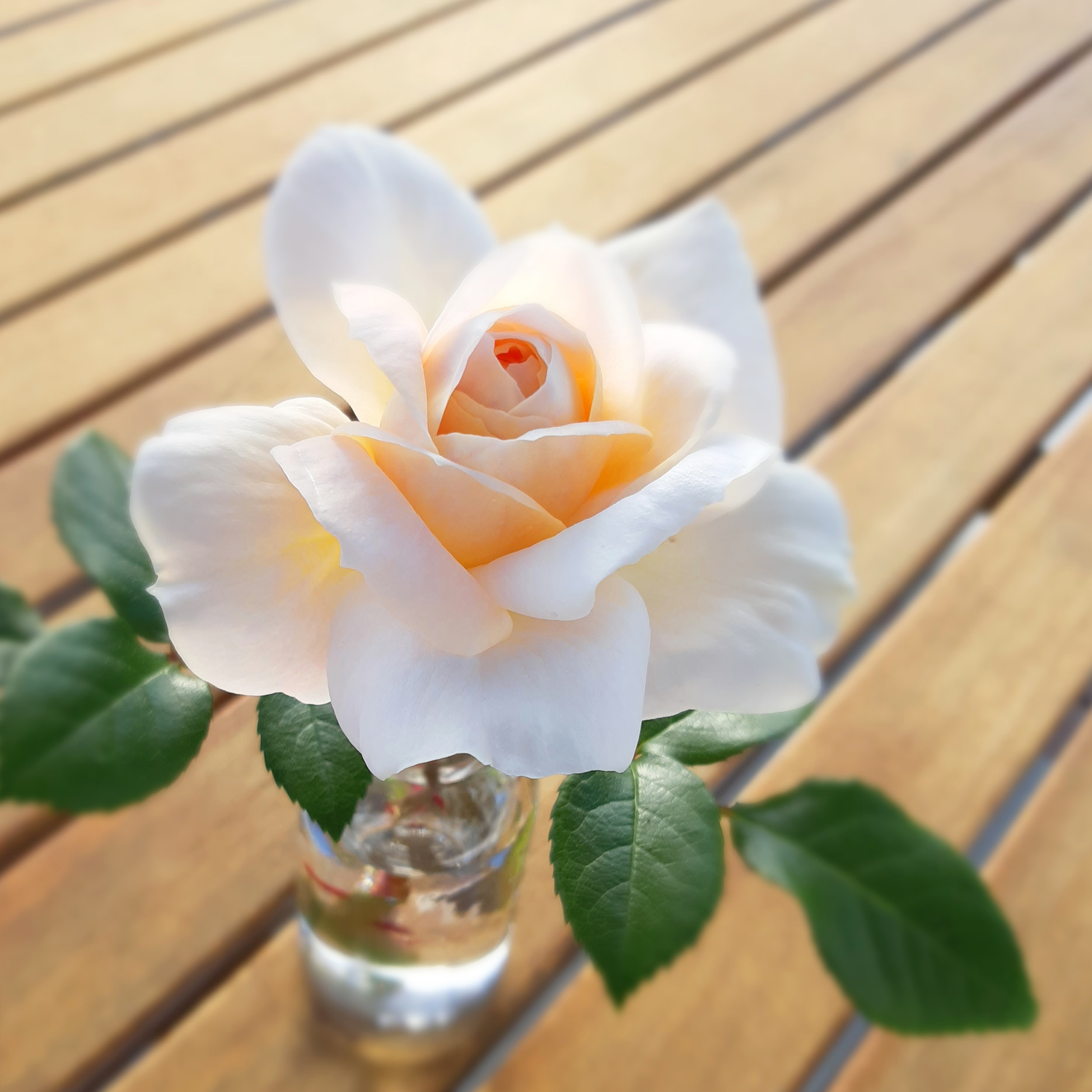 IMG_20191115_185532_146